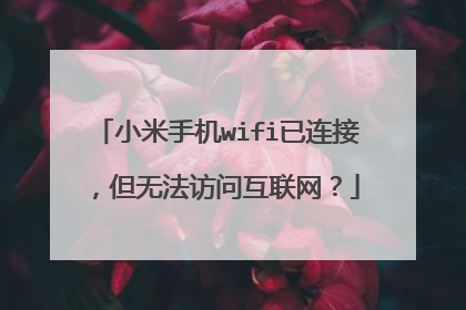 小米手机wifi已连接，但无法访问互联网？