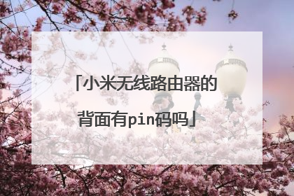 小米无线路由器的背面有pin码吗