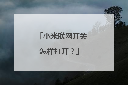 小米联网开关怎样打开？