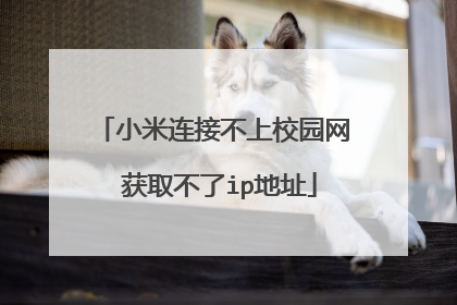 小米连接不上校园网 获取不了ip地址