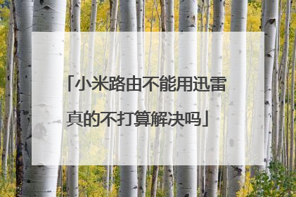 小米路由不能用迅雷真的不打算解决吗