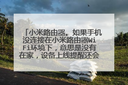 小米路由器。如果手机没连接在小米路由器WiFi环境下,意思是没有在家,设备上线提醒还会在手机上提醒吗?