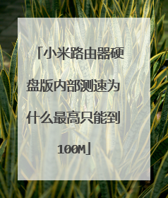 小米路由器硬盘版内部测速为什么最高只能到100M
