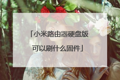 小米路由器硬盘版 可以刷什么固件