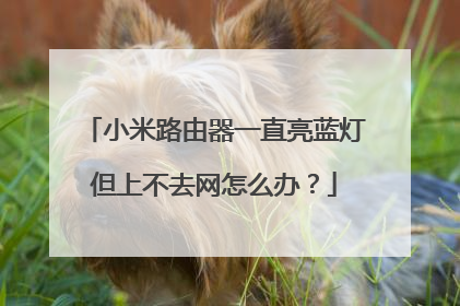 小米路由器一直亮蓝灯但上不去网怎么办？