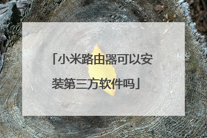 小米路由器可以安装第三方软件吗