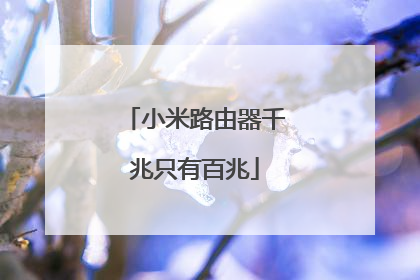 小米路由器千兆只有百兆