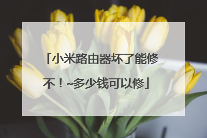 小米路由器坏了能修不！~多少钱可以修