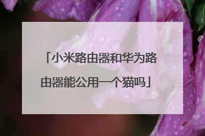 小米路由器和华为路由器能公用一个猫吗