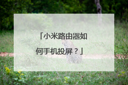 小米路由器如何手机投屏？