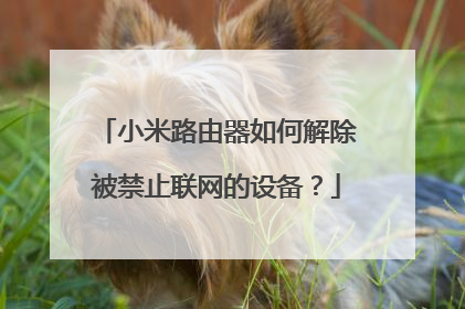 小米路由器如何解除被禁止联网的设备？