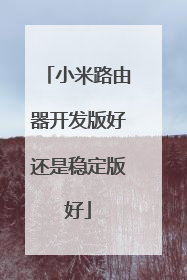 小米路由器开发版好还是稳定版好