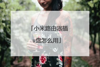 小米路由器插u盘怎么用