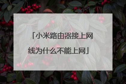 小米路由器接上网线为什么不能上网
