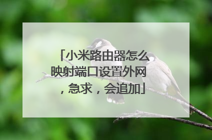 小米路由器怎么映射端口设置外网，急求，会追加