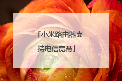 小米路由器支持电信宽带