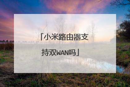 小米路由器支持双WAN吗