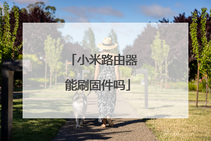 小米路由器能刷固件吗