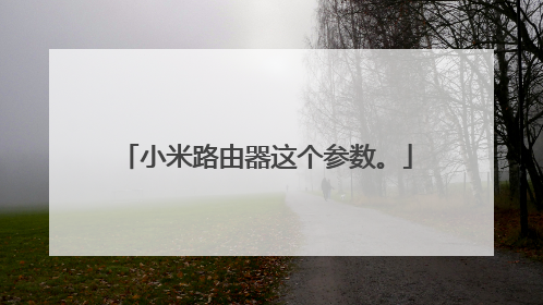 小米路由器这个参数。