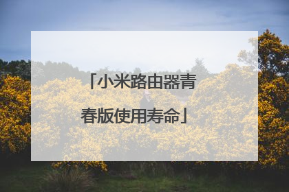 小米路由器青春版使用寿命