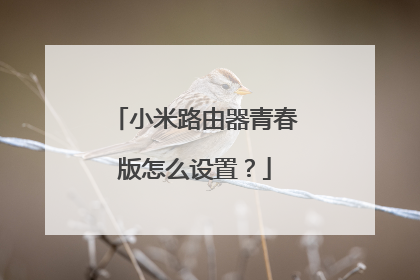小米路由器青春版怎么设置？