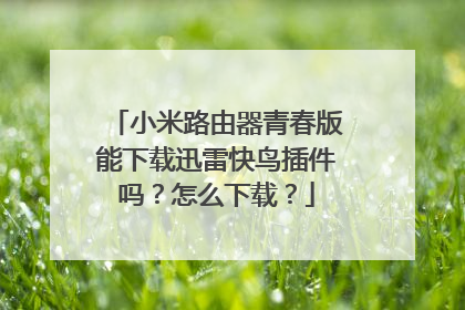 小米路由器青春版能下载迅雷快鸟插件吗?怎么下载?
