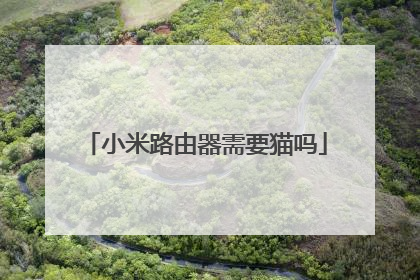 小米路由器需要猫吗