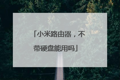 小米路由器,不带硬盘能用吗