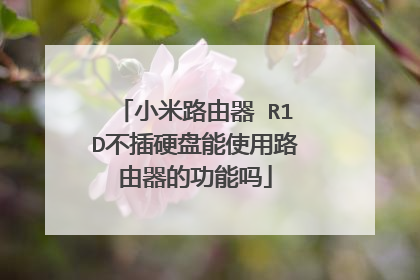 小米路由器 R1D不插硬盘能使用路由器的功能吗