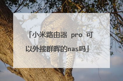 小米路由器 pro 可以外接群晖的nas吗