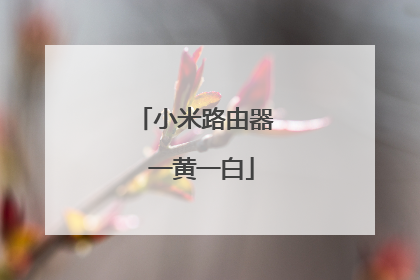 小米路由器 一黄一白
