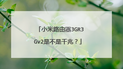 小米路由器3GR3Gv2是不是千兆?