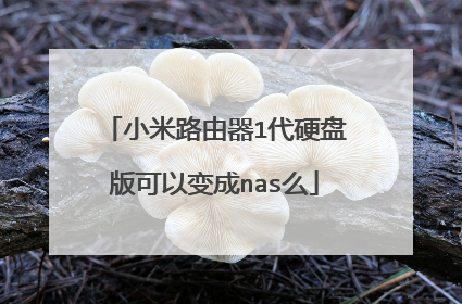 小米路由器1代硬盘版可以变成nas么