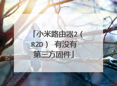 小米路由器2(R2D) 有没有第三方固件