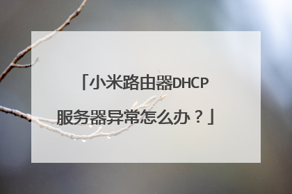小米路由器DHCP服务器异常怎么办？