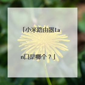 小米路由器lan口是哪个?