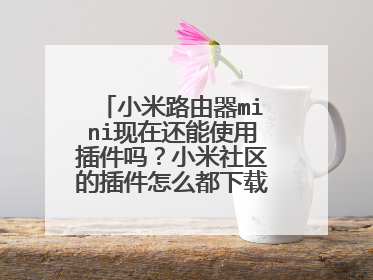 小米路由器mini现在还能使用插件吗?小米社区的插件怎么都下载不了了。