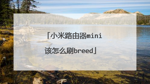小米路由器mini该怎么刷breed