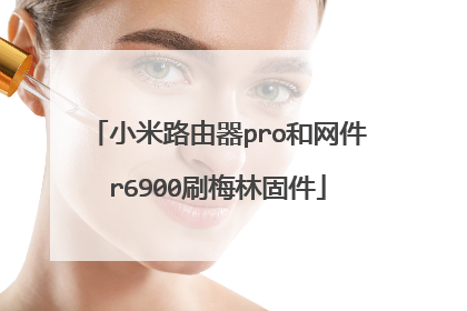 小米路由器pro和网件r6900刷梅林固件