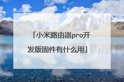 小米路由器pro开发版固件有什么用