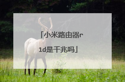 小米路由器r1d是千兆吗