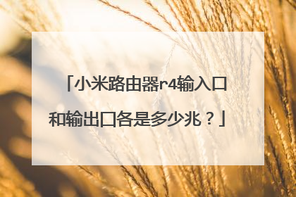 小米路由器r4输入口和输出囗各是多少兆?