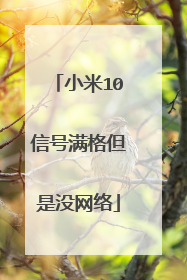 小米10信号满格但是没网络