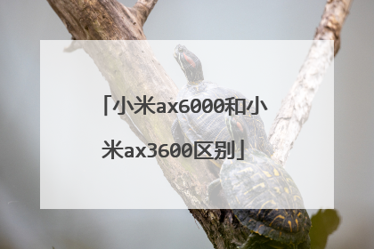 小米ax6000和小米ax3600区别