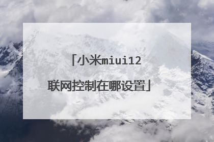小米miui12联网控制在哪设置