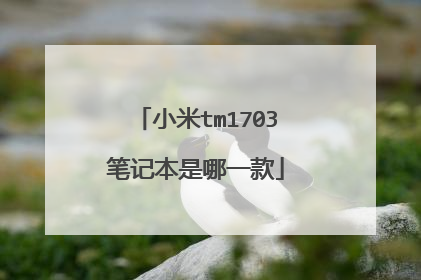小米tm1703笔记本是哪一款