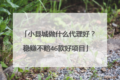 小县城做什么代理好?稳赚不赔46款好项目