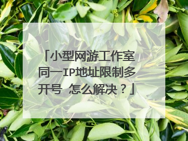 小型网游工作室 同一IP地址限制多开号 怎么解决?