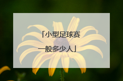 小型足球赛一般多少人