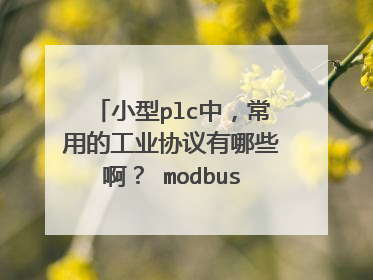 小型plc中,常用的工业协议有哪些啊? modbus? 还有什么